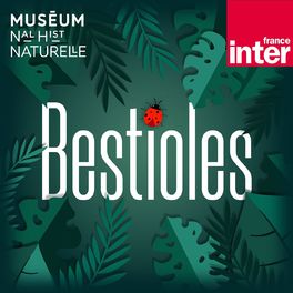 Show cover of Bestioles