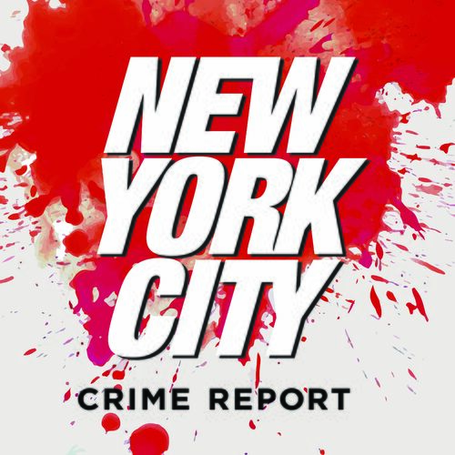 new york city crime report pat dixon