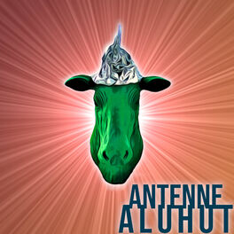 Show cover of Antenne Aluhut