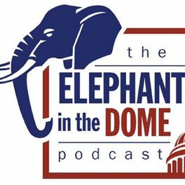 Show cover of The Elephant in the Dome