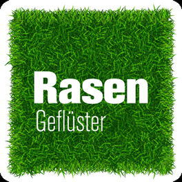 Show cover of Rasengeflüster