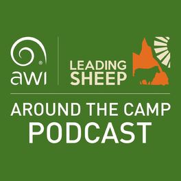Episode cover of Back to the bush: the new generation in merino production