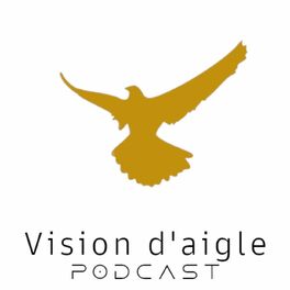 Show cover of Vision d'aigle