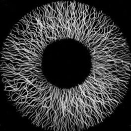 Show cover of What is sound ?