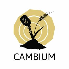 Show cover of CAMBIUM, le podcast de l'agroforesterie
