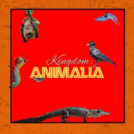 Show cover of Kingdom: Animalia - A Zoology Podcast for Kids