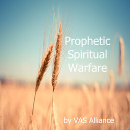 Show cover of Prophetic Spiritual Warfare