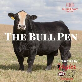 Show cover of The Bull Pen