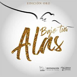 Show cover of BAJO TUS ALAS (EDICIÓN ORO) Ebenecer
