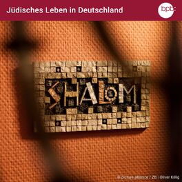 Show cover of Jüdisches Leben in Deutschland – Vergangenheit und Gegenwart