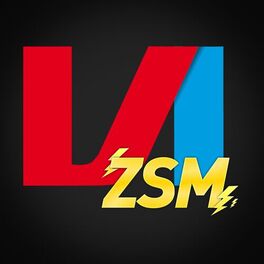 Show cover of VI ZSM