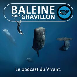 Show cover of Baleine sous Gravillon (BSG)