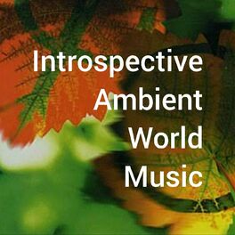 Show cover of Introspective Ambient World Music
