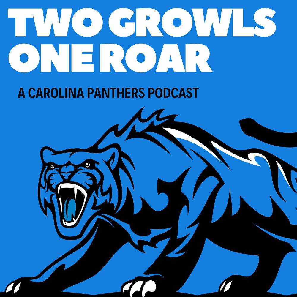 Panthers Joint Practice Review, Preseason Week 1 Preview