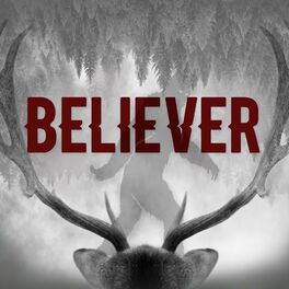Show cover of Believer: A Paranormal Mystery