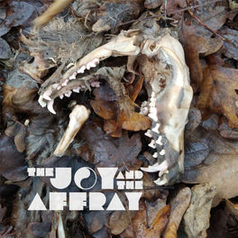 Listen to The Joy and the Affray podcast | Deezer