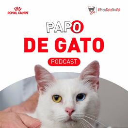 O ron-ron do Gatinho – Ferreira Gullar