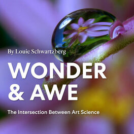 Show cover of Wonder And Awe