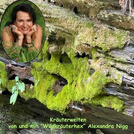 Show cover of Kräuterwelten