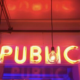Show cover of Public Pride