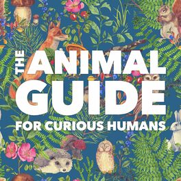 Show cover of The Animal Guide for Curious Humans