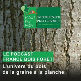 Show cover of France Bois Forêt, l'univers du bois, de la graine à la planche