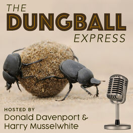 Show cover of The Dungball Express podcast