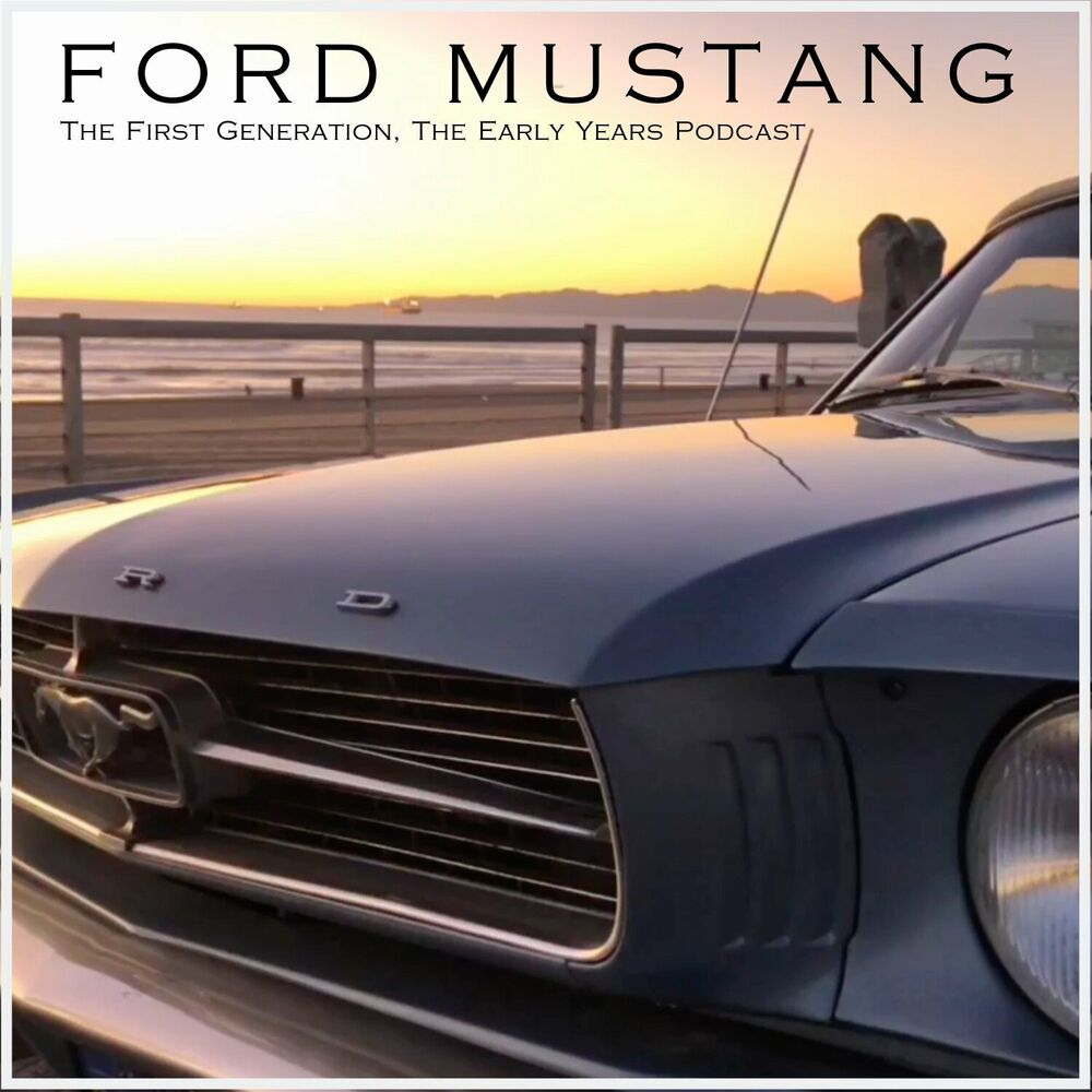Officially Licensed Ford 'Mustang: An American Classic' Stainless