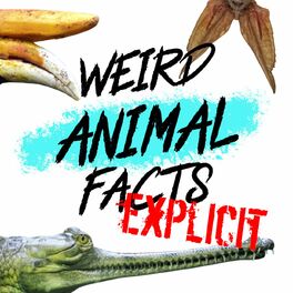 Show cover of Weird Animal Facts: Explicit