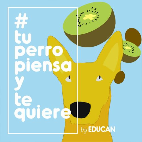 carencia sitio Personalmente Listen to Tu perro piensa y te quiere podcast | Deezer