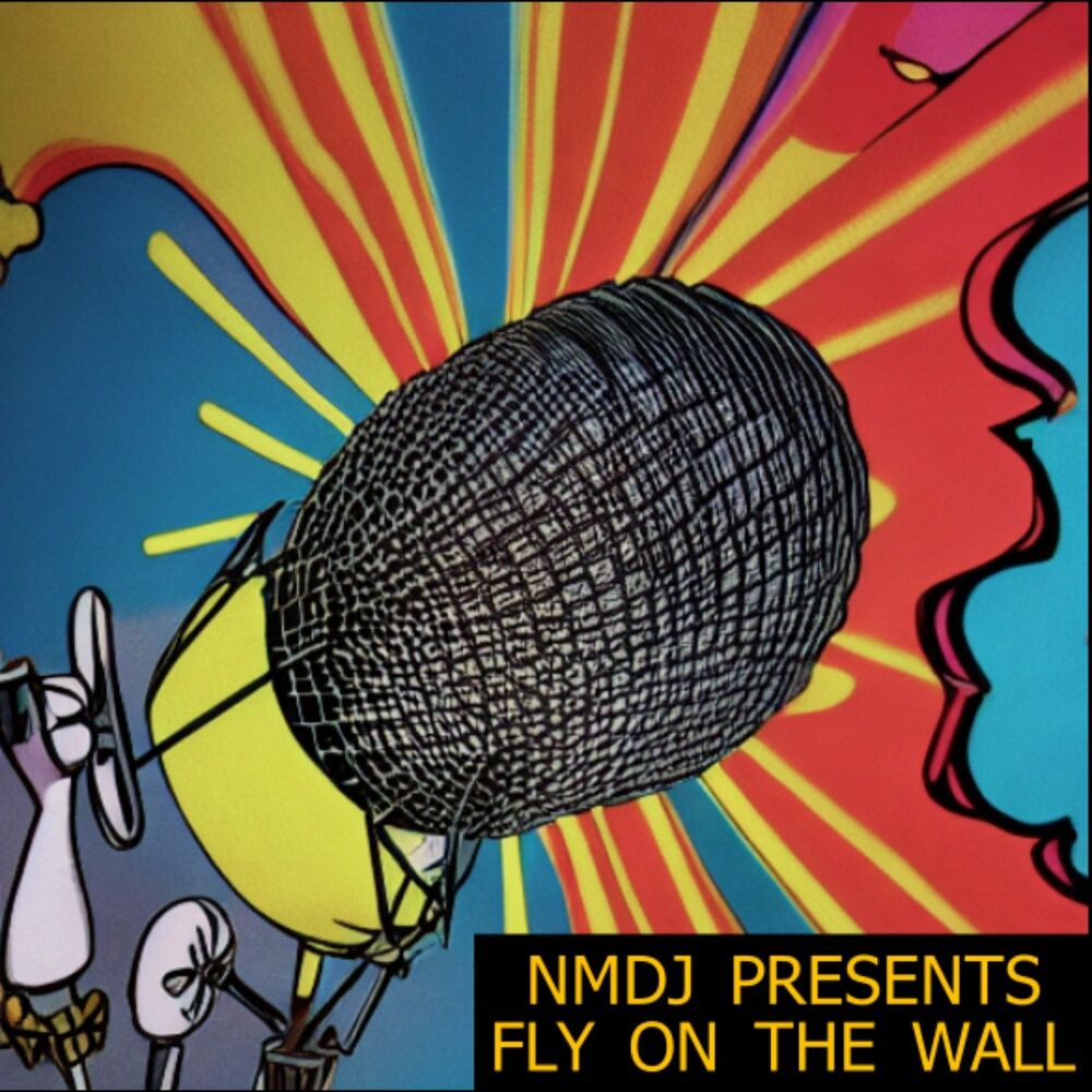 Listen to NMDJ presents Fly On The Wall podcast | Deezer