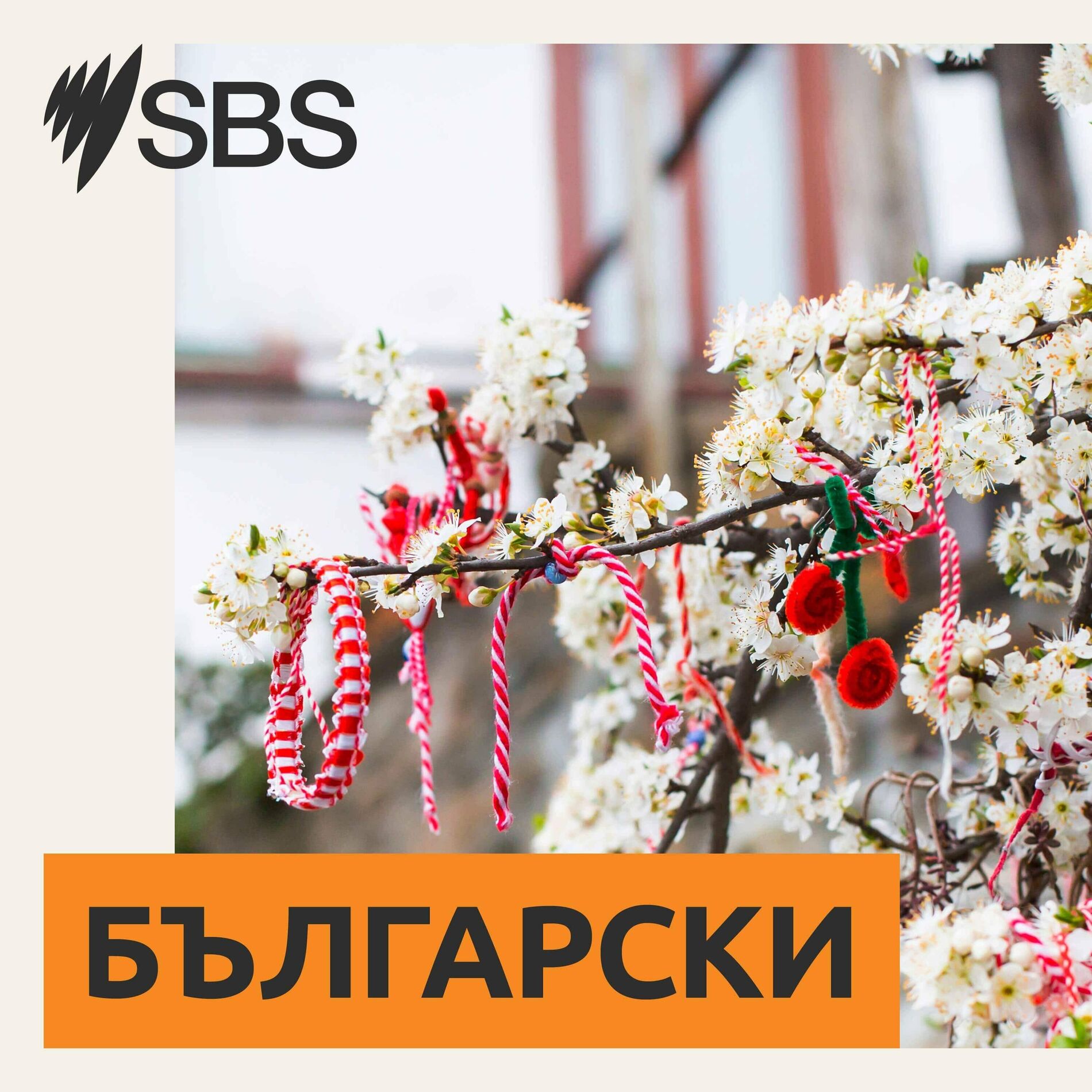 Listen to SBS Bulgarian - SBS на Български podcast | Deezer