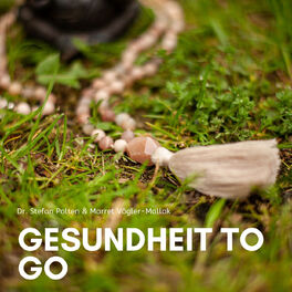 Show cover of Gesundheit to go