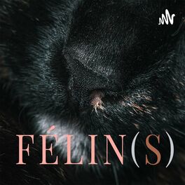 Show cover of Félin(s) - Le podcast