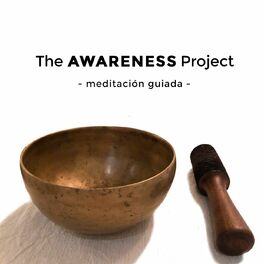 Show cover of The Awareness Project