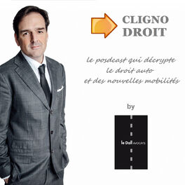 Show cover of Clignotant Droit