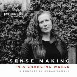 Show cover of Sense-making in a Changing World