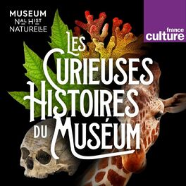Show cover of Les Curieuses histoires du Muséum