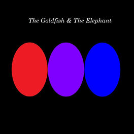Show cover of The Goldfish and The Elephant