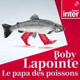 Show cover of Le papa des poissons