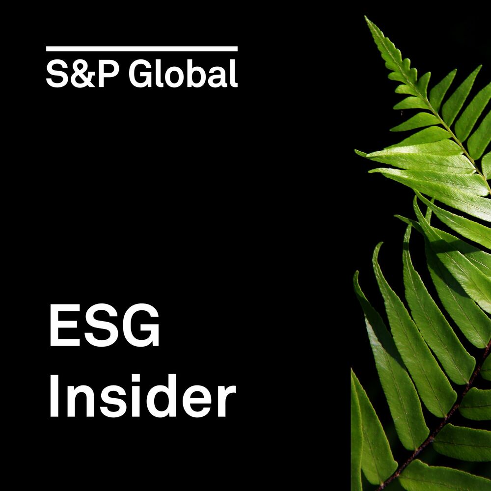 SDGs: Responsible Investor  S&P Global Market Intelligence