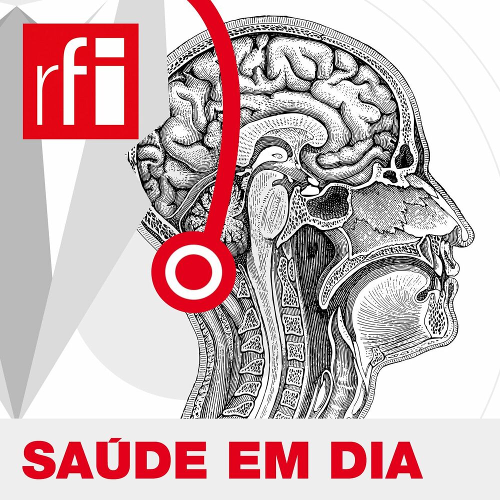 cuidados específica com feridas - Morfofisiologia dos Órgãos da Audição