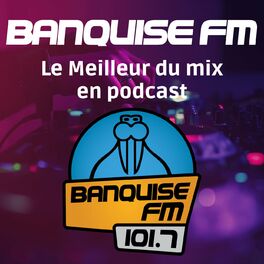 Show cover of Les Podcasts des DJs de Banquise FM