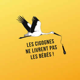 Show cover of Les Cigognes ne livrent pas les bébés
