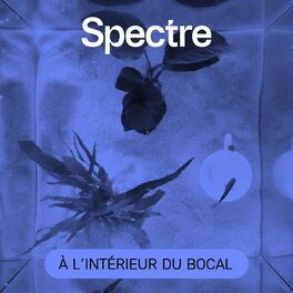 Show cover of À l’intérieur du bocal