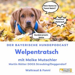 Show cover of Welpentratsch - Der bayerische Hundepodcast