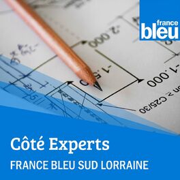 Show cover of Côté experts avec France Bleu Lorraine - FB Sud Lorraine