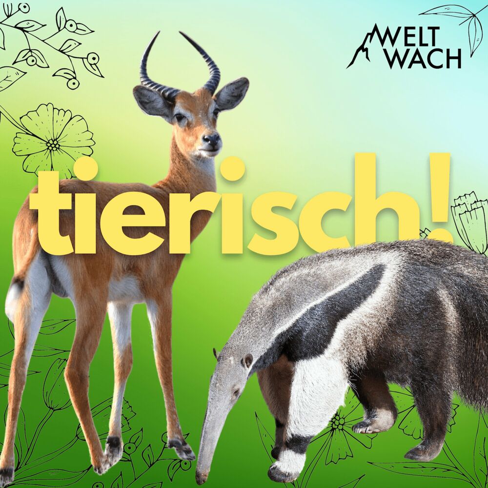 Listen to Tierisch! – Entdeckungsreise in die wilde Welt der Tiere podcast