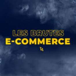 Show cover of Les brutes e-commerce par Théo Lion (Coudac)
