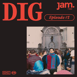 Show cover of DIG